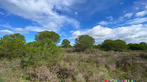 Photo 2 of Land for sale in N/a, -1, Villablanca, Huelva