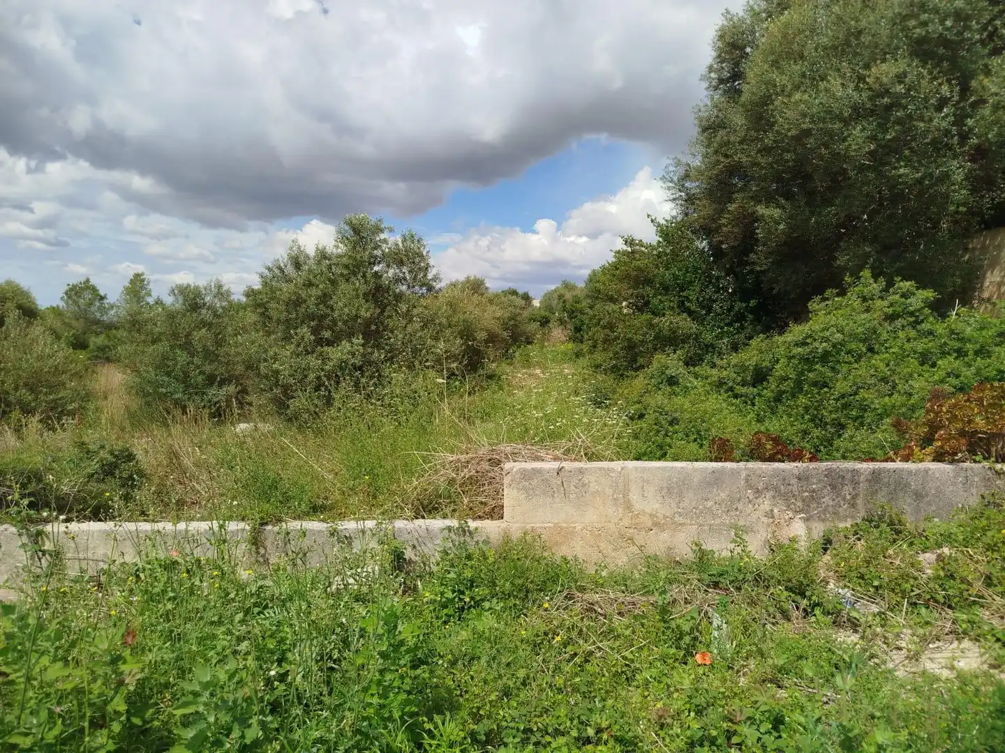 Grundstücke und Bauplätze zum Verkauf in GREGORI CERDO, imagen 18