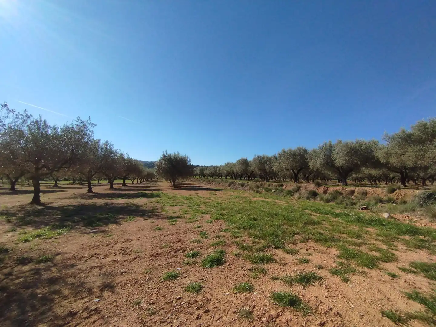 Terreny residencial en venda a RENS, imagen 2