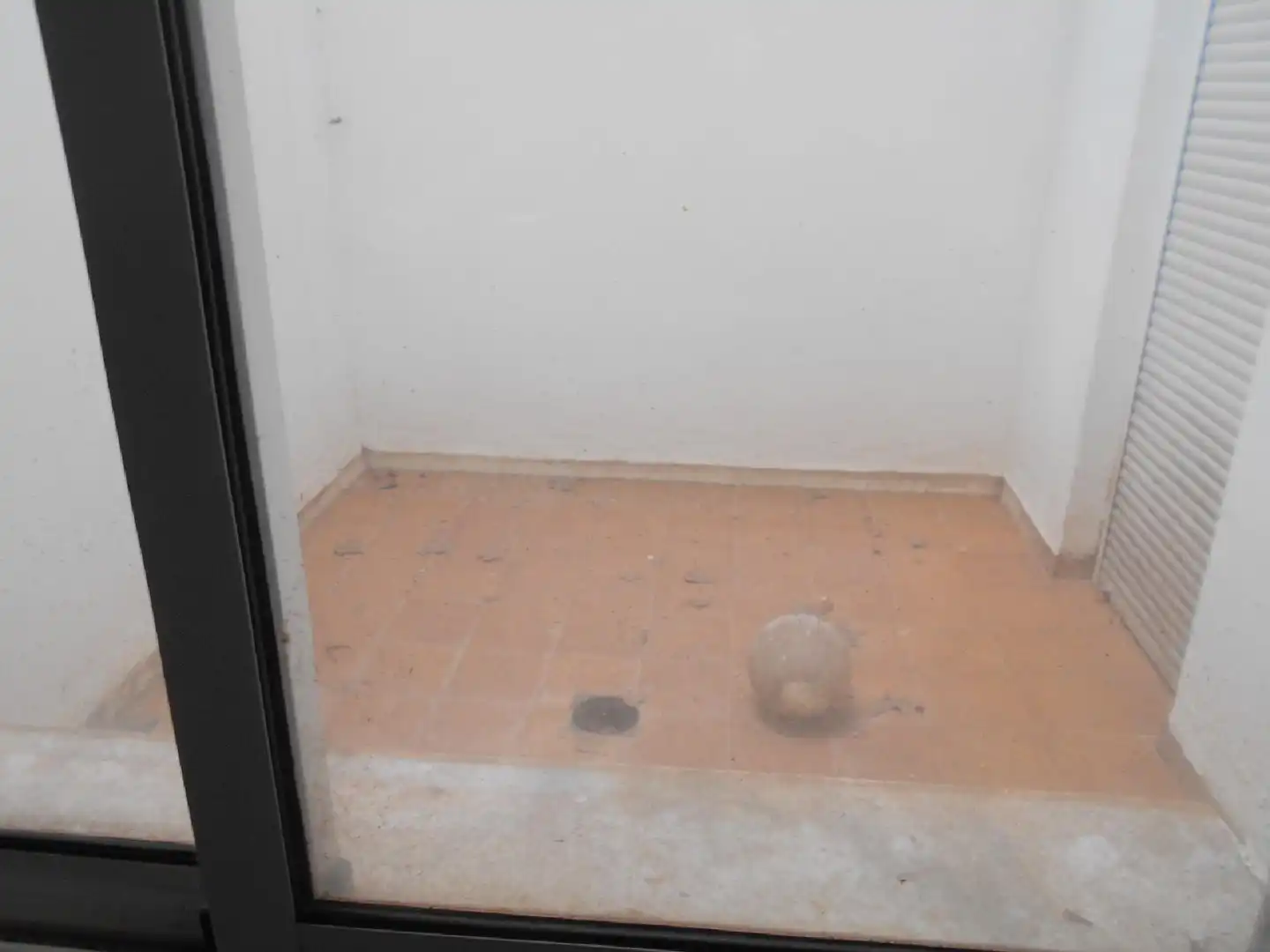 Gewerbefläche zum Verkauf in Oliva pueblo, imagen 2