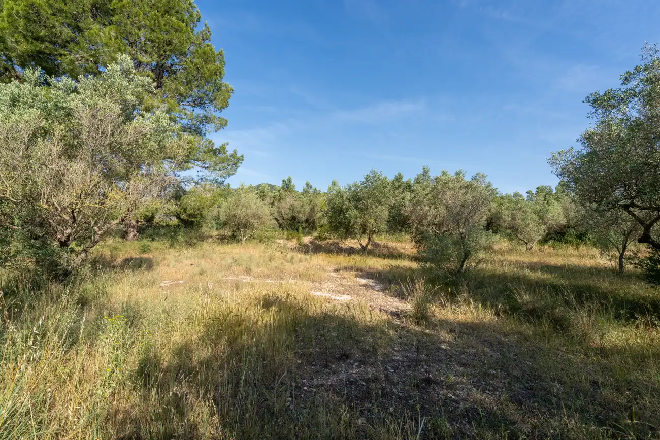 Terreno en venta en Aldover