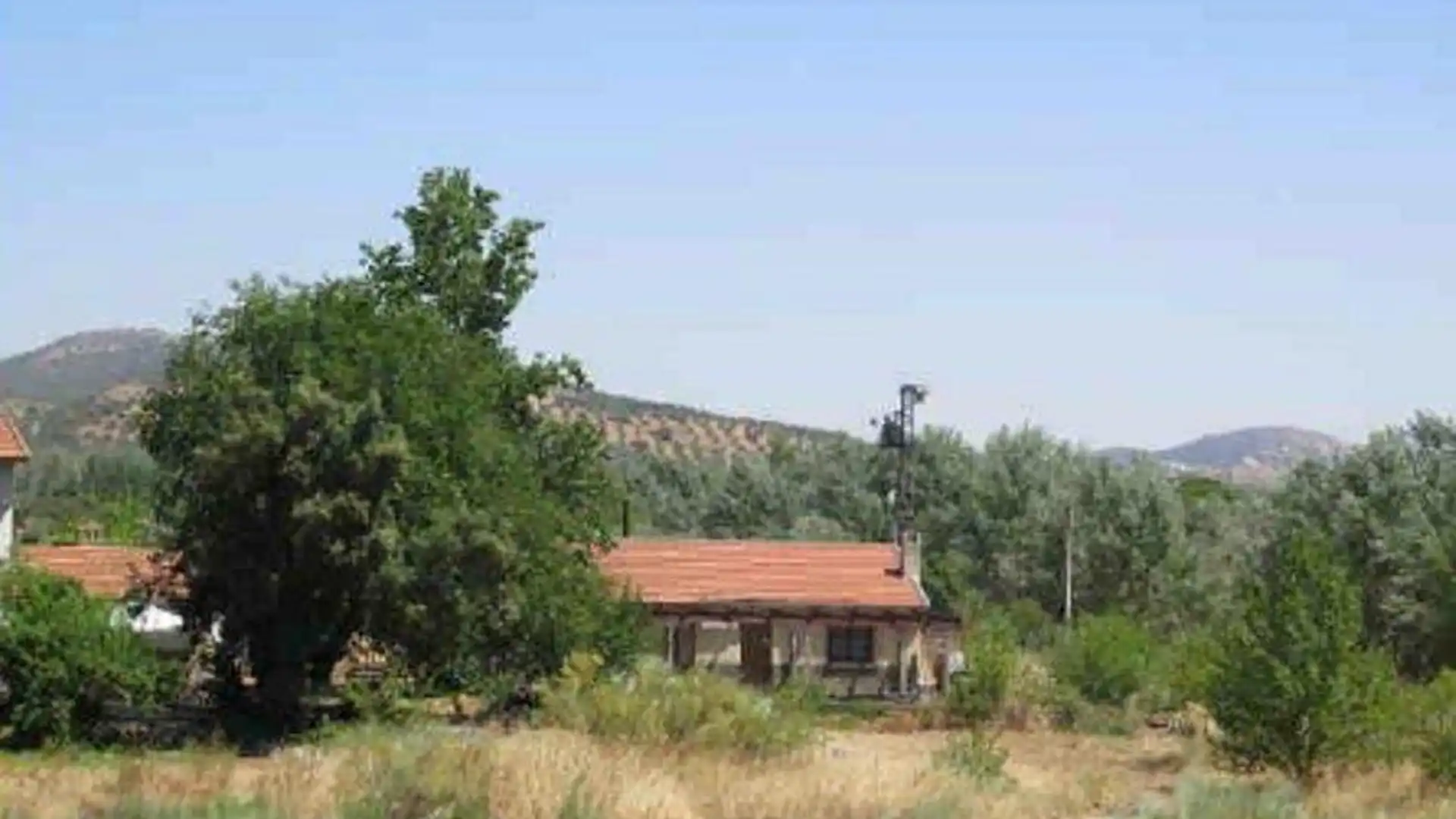 Finca rústica en venda en Piedrabuena