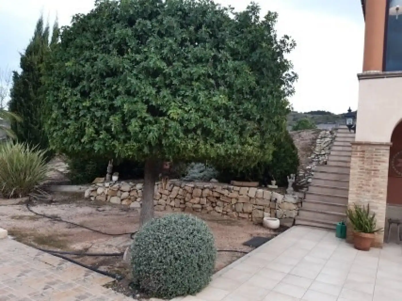Villa avec piscine à vendre à Monóvar  / Monòver, imagen 58