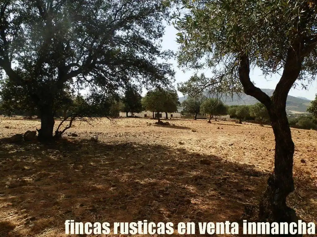 Terreni e lotti in vendita a Peñalsordo, imagen 2