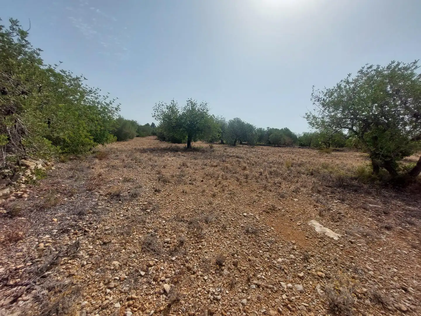 Finca rústica en venda en L'Ametlla de Mar  amb Terrassa i Moblat