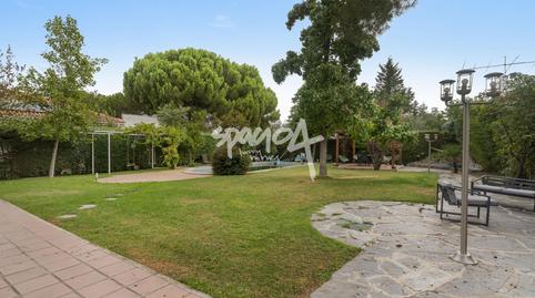 Foto 5 de Casa o chalet en venta en Monte Rozas, Madrid
