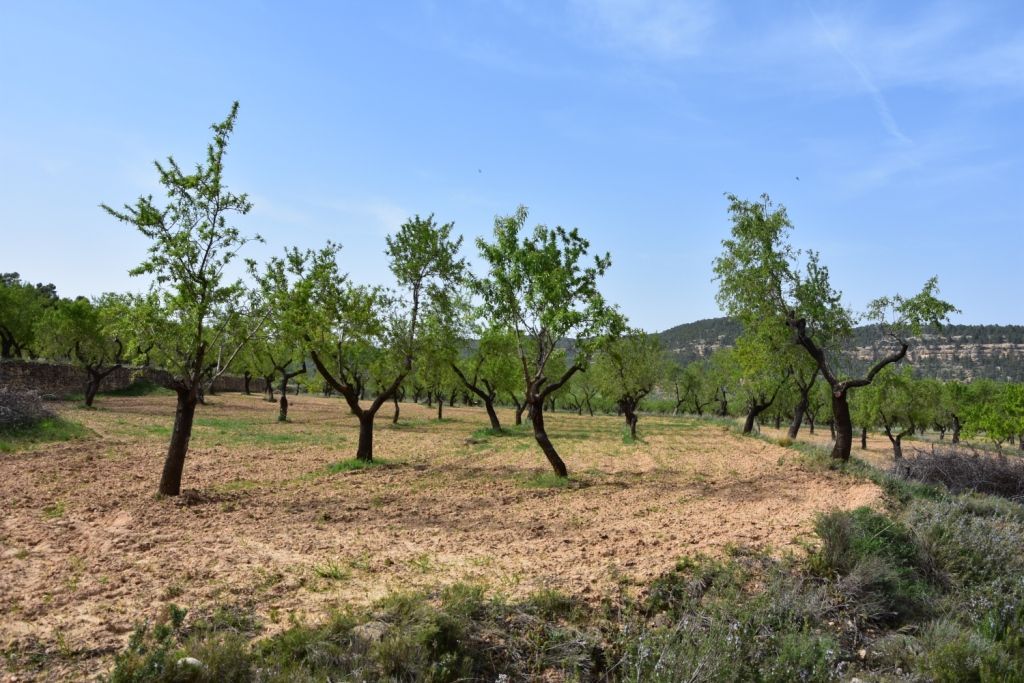 Country house for sale in Ráfales