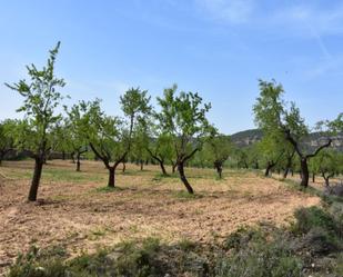 Finca rústica en venda en Ráfales