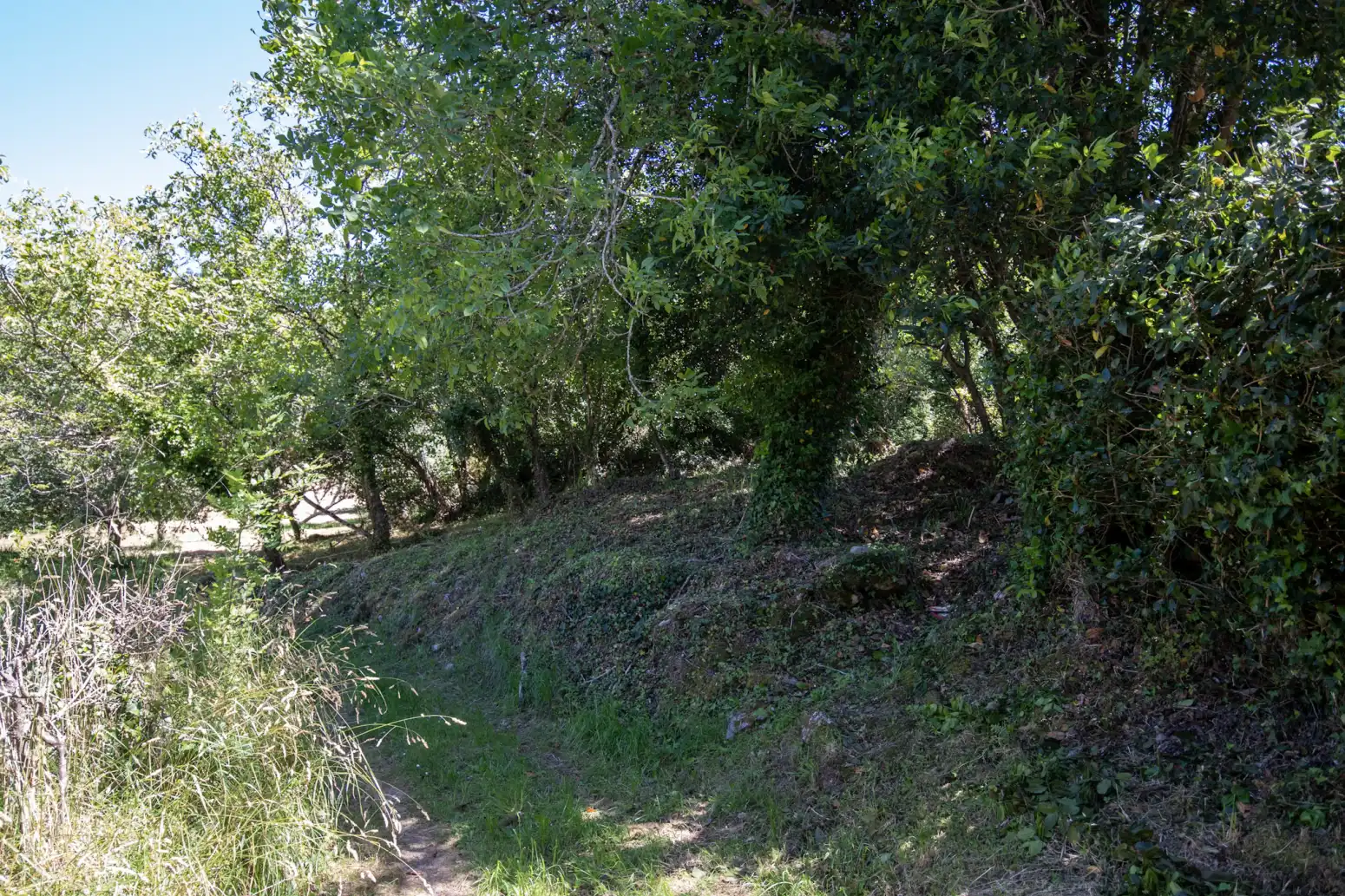 Terreno en venta en Villaviciosa