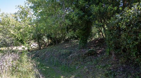 Foto 2 de Terreno en venta en Espina Selorio, Selorio - Tornón, Villaviciosa