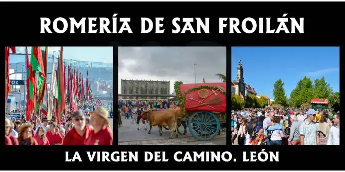 Terreni e lotti in vendita a Valverde de la Virgen, imagen 7