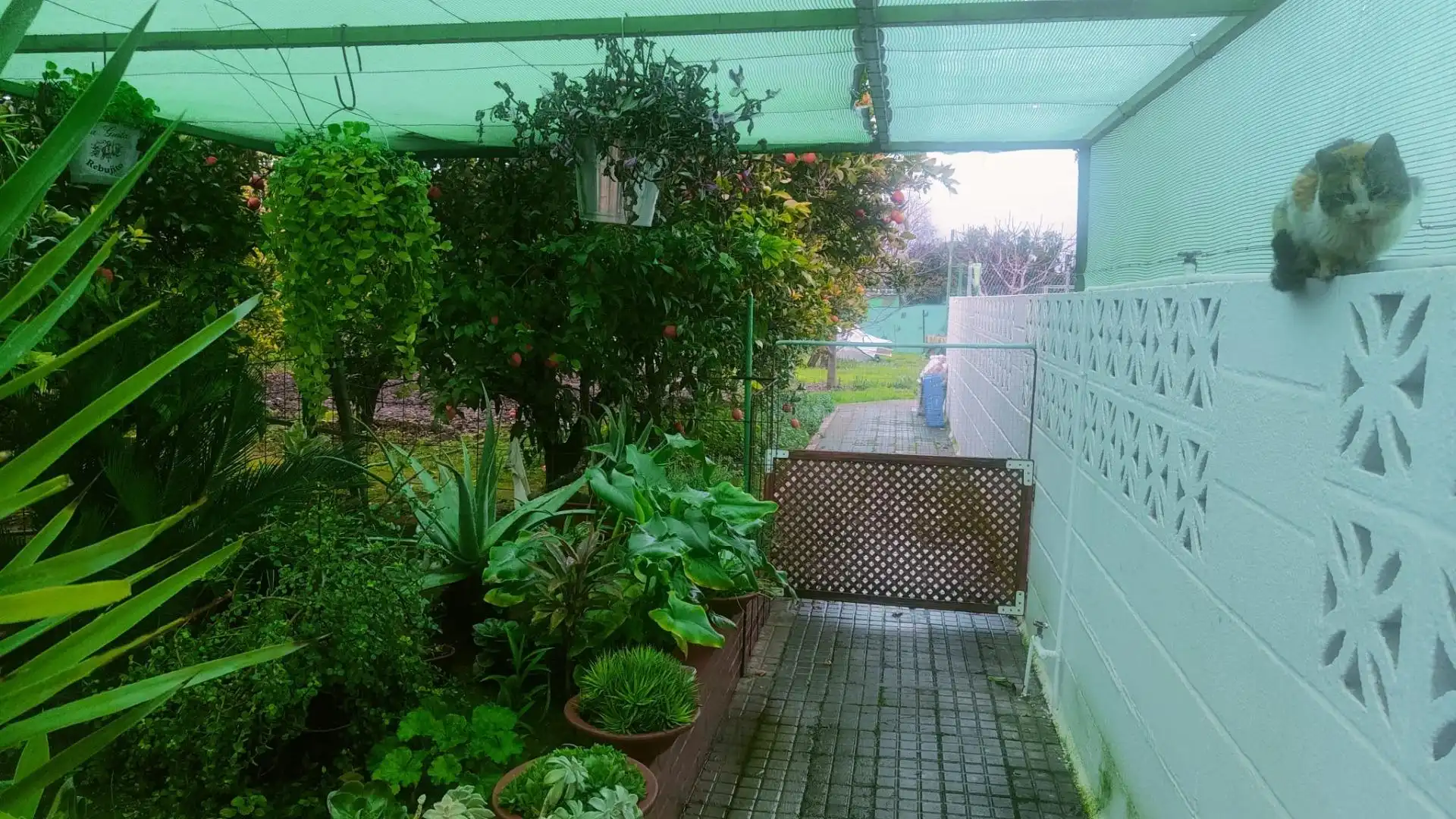 Garden of Houses for sale in Córdoba  with Air Conditioner, Heating and Private garden