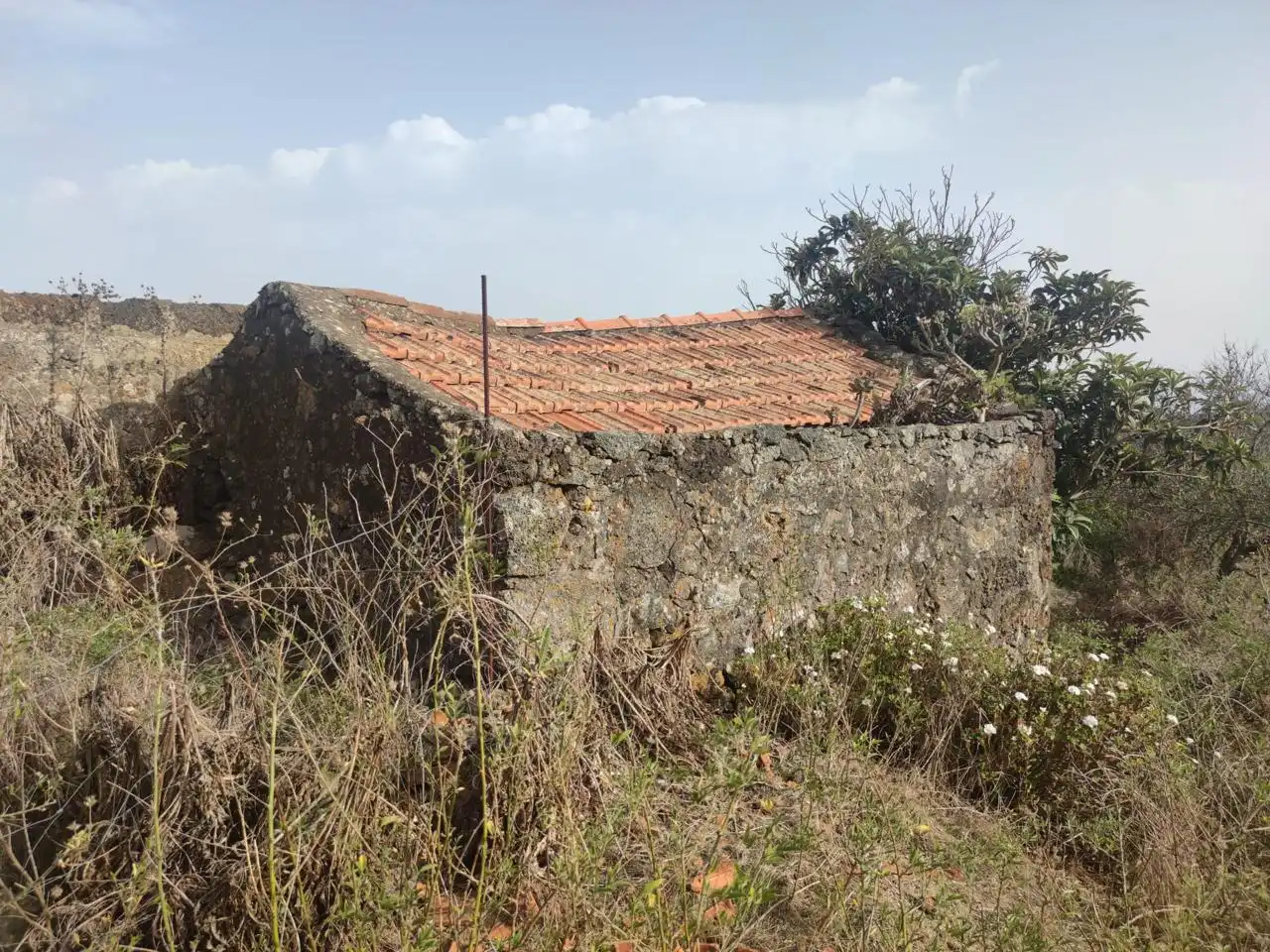 Casa rústica en venda a Los Castaños, imagen 9