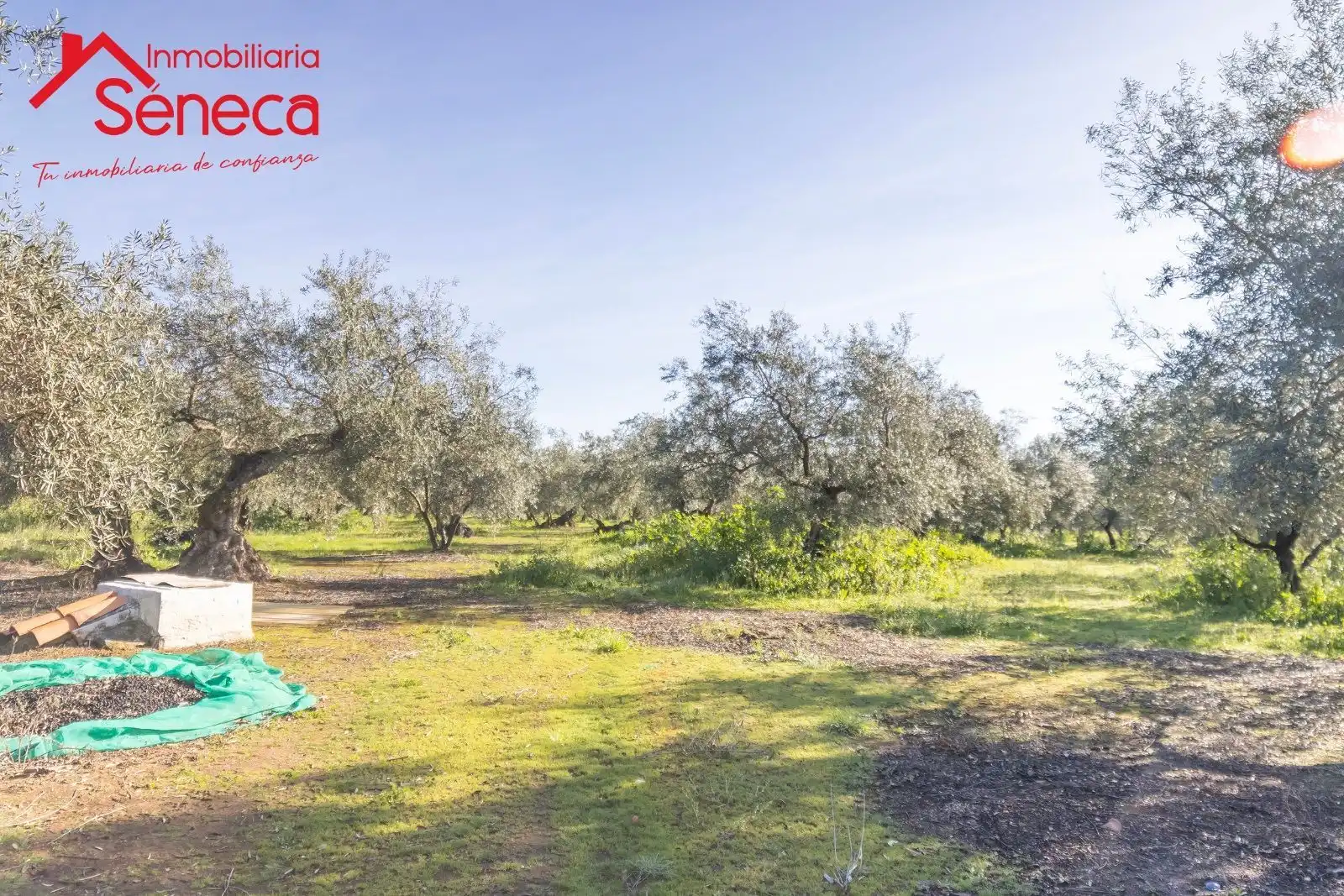 Casa o chalet en venta en ADAMUZ - ALGALLARIN, Adamuz