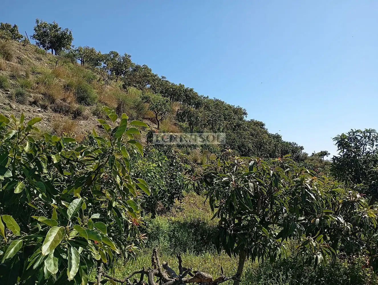 Grundstücke und Bauplätze zum Verkauf in Vélez-Málaga ciudad, imagen 14