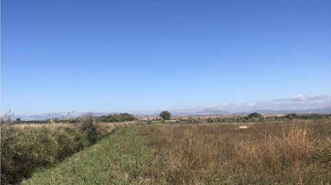 FINCA RÚSTICA - ALBERITE ()