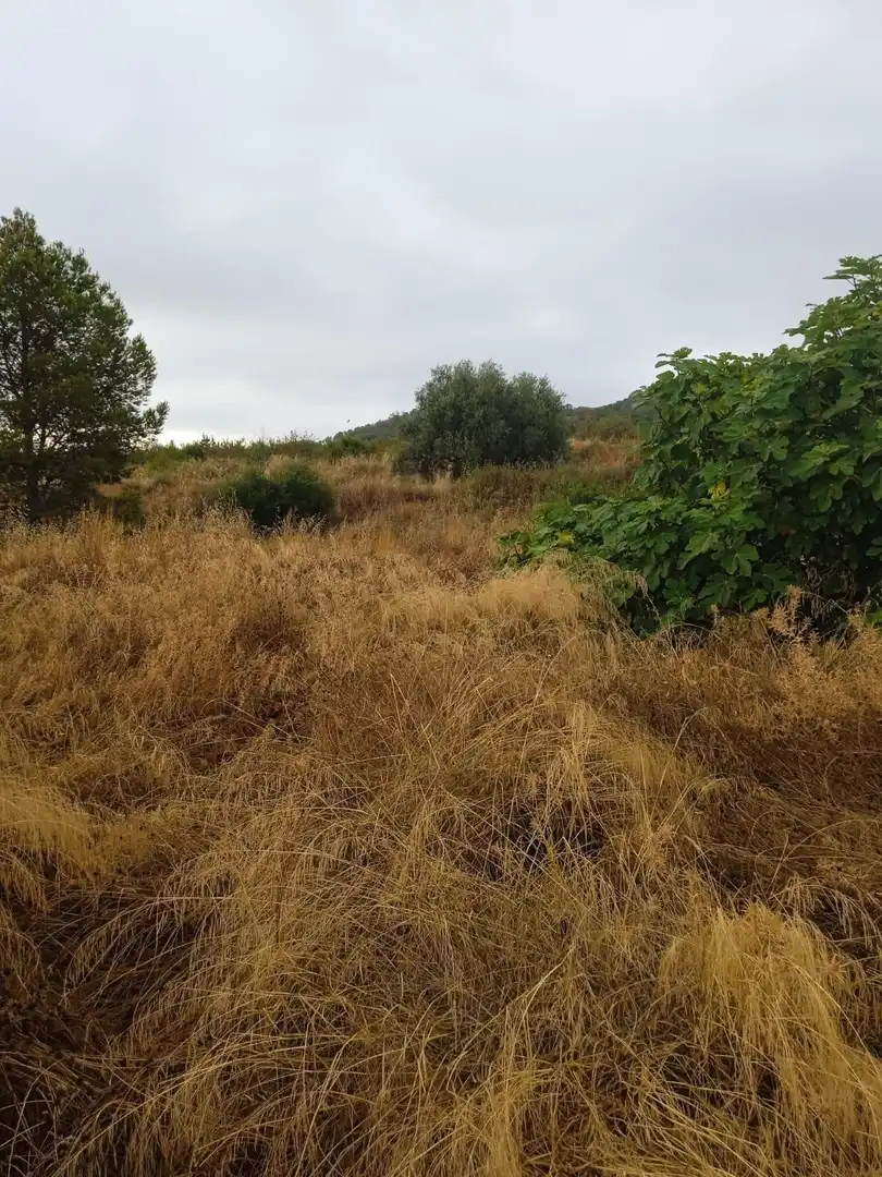 Residential land for sale in Pedanías Norte, imagen 3