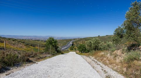 Finca de olivos en excelente ubicación  Alfacar, immagine 4