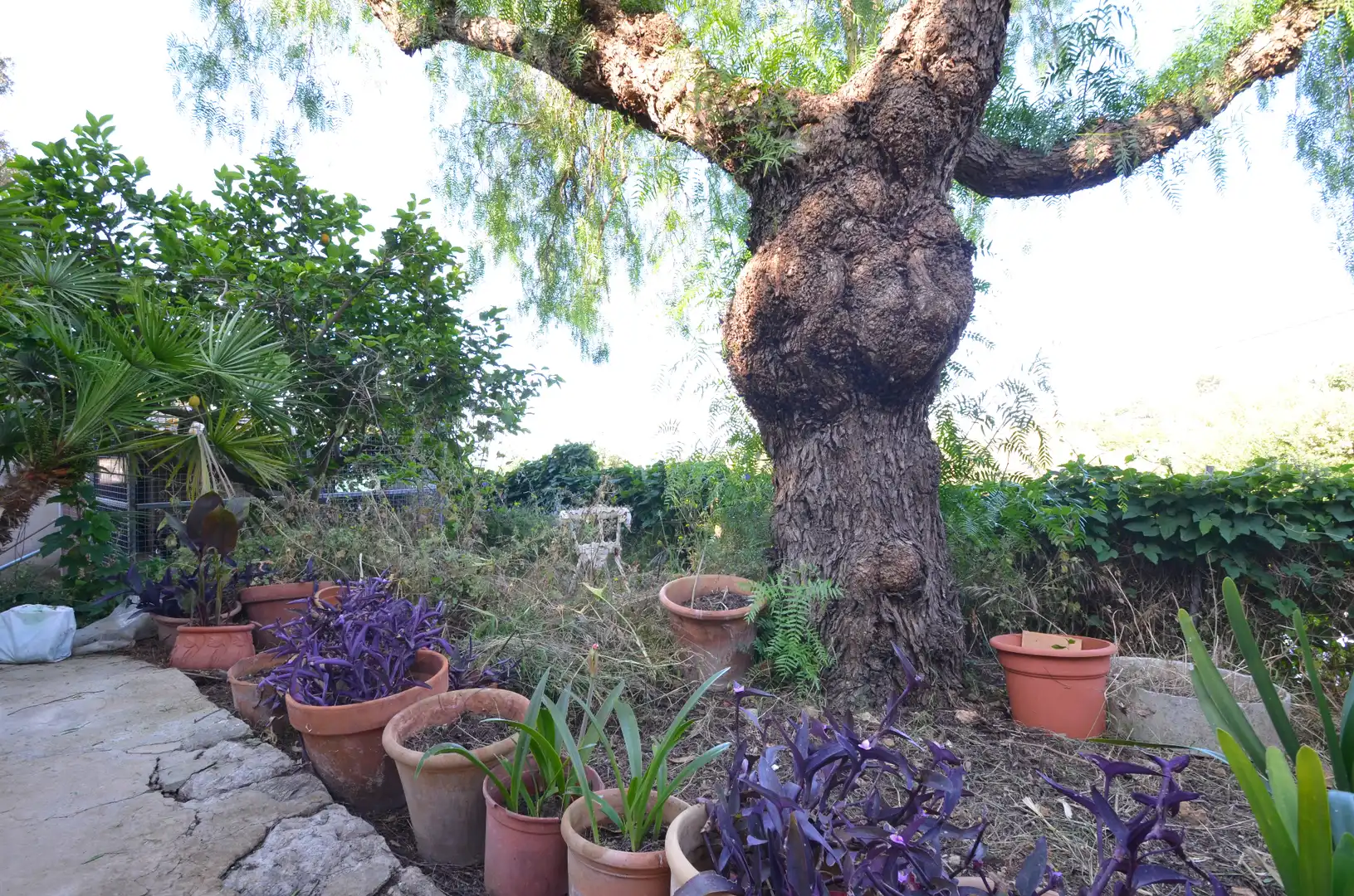 Adosado con jardín en venta en Puigpunyent, imagen 32