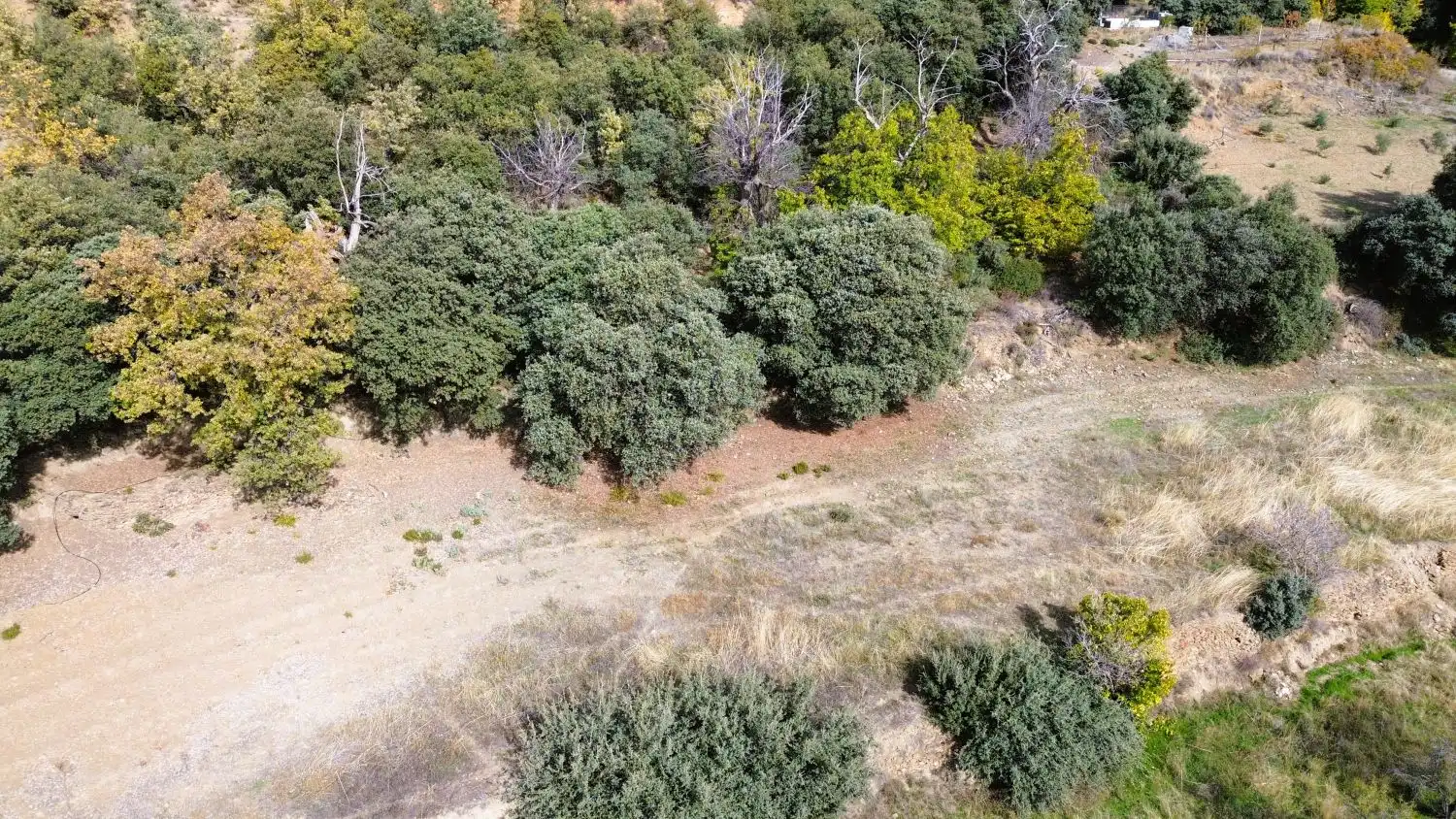 Country homes for sale in Pórtugos