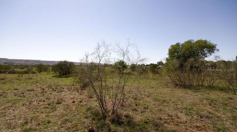 Foto 2 von Residential zum Verkauf in S-8, Fresno de Torote, Madrid