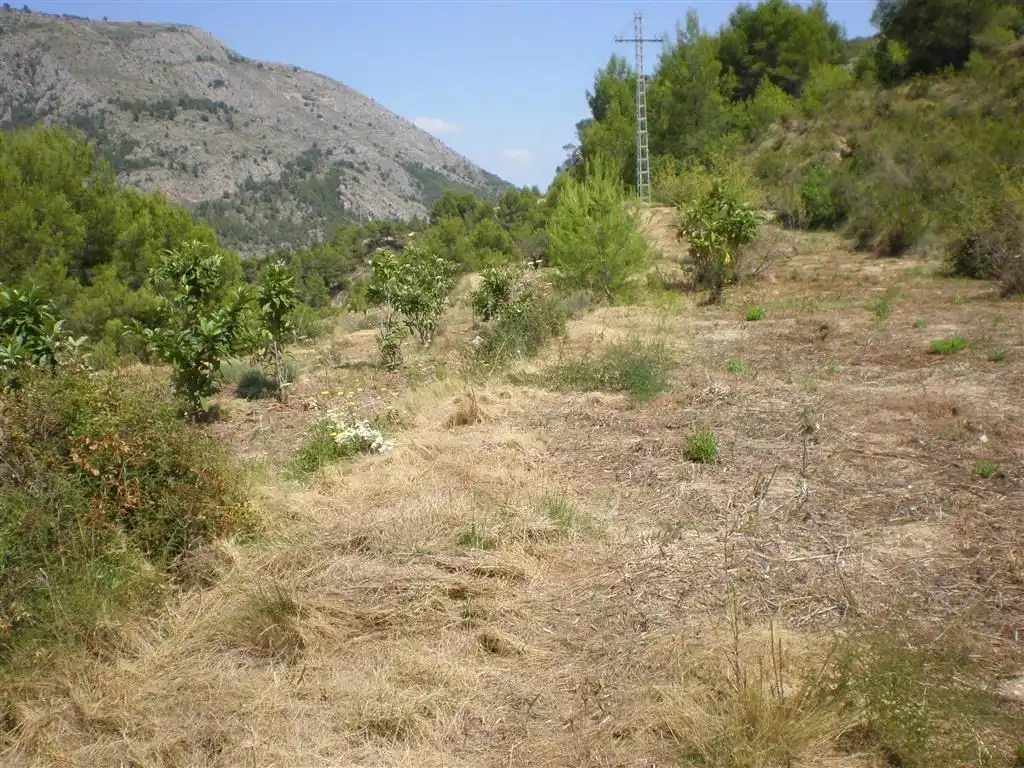 Terreno en venta en Callosa d'en Sarrià