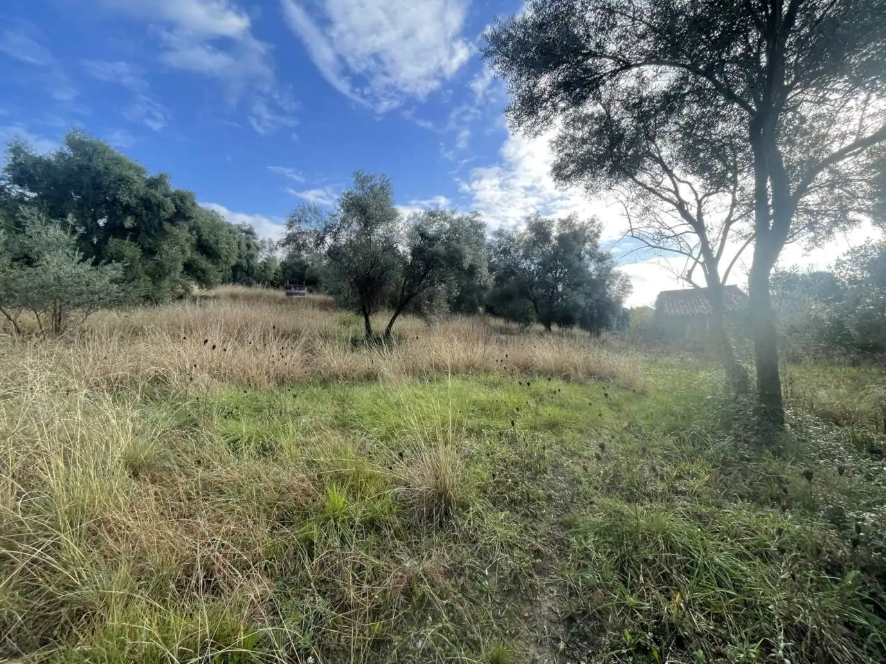 Terreny residencial en venda a Calle olivet del veinat, imagen 10
