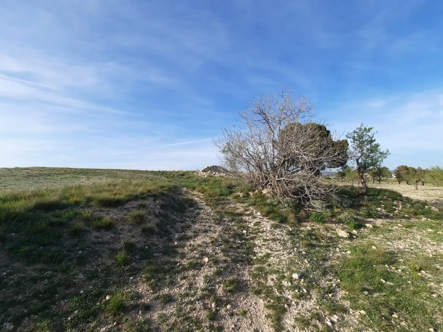 Rustikales Grundstück zum Verkauf in Almansa, imagen 8
