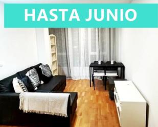 Living room of Flat to rent in Medio Cudeyo  with Heating, Furnished and Oven