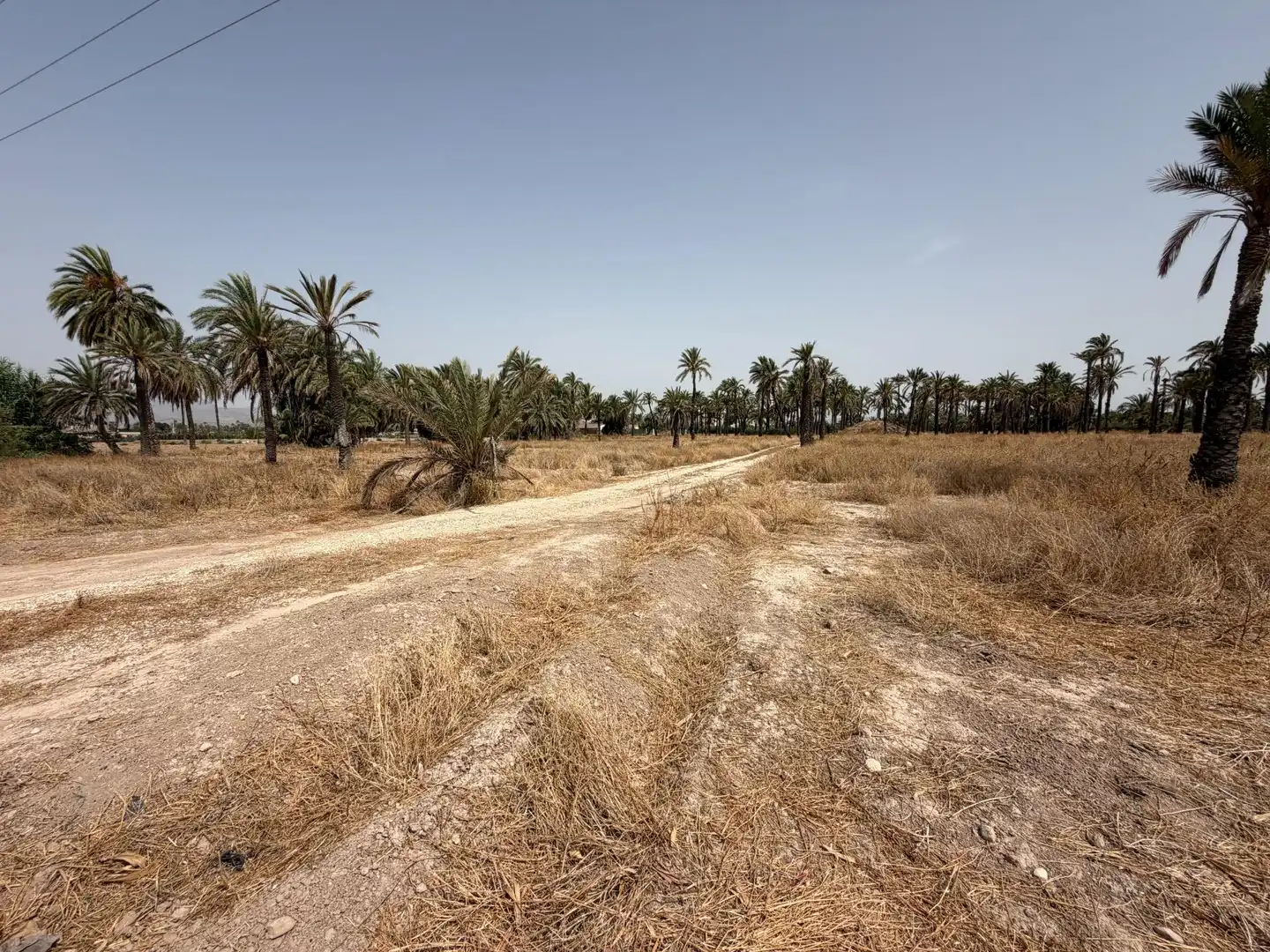 Rustikales Grundstück zum Verkauf in Algorós - El Derramador, imagen 12