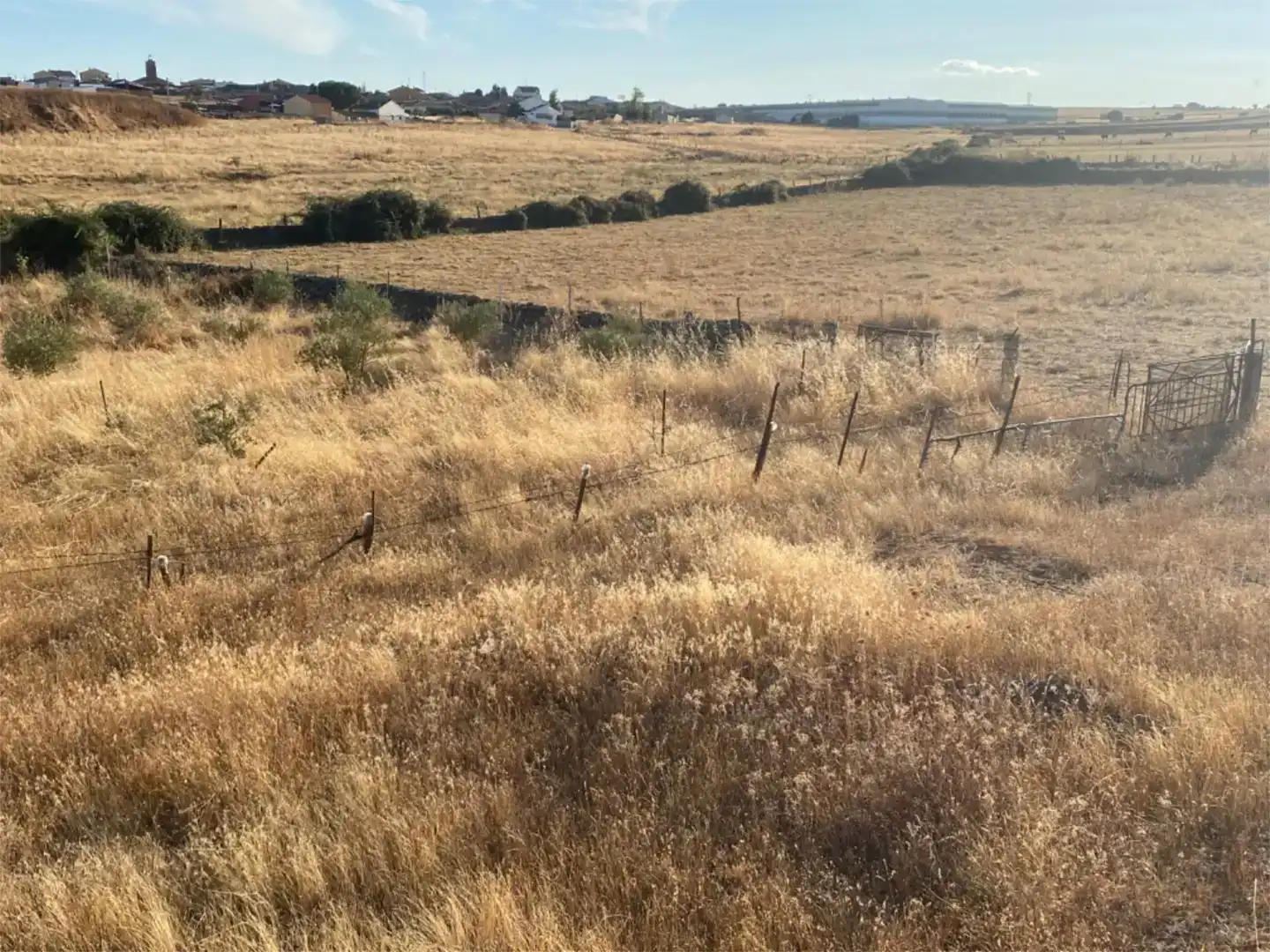 Terreno en venta en Montejo