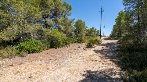 Foto 3 de Terreno en venta en Partida Carratillana, 24, Roques Daurades - L'Estany, L'Ametlla de Mar