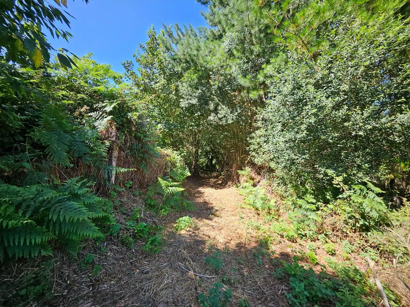 Country homes for sale in Allande