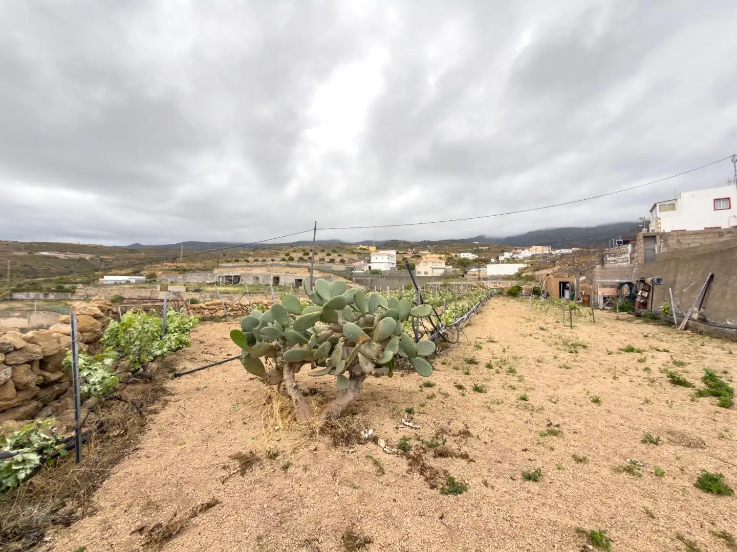 Country house for sale in Arico, imagen 35