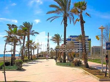 Penthouse with lift for sale in Carretera de Cádiz