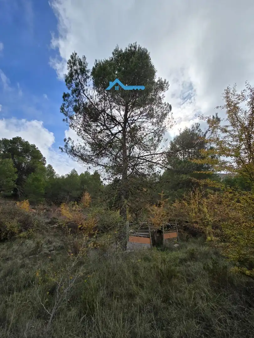 Maison avec jardin à vendre à Confrides, imagen 46