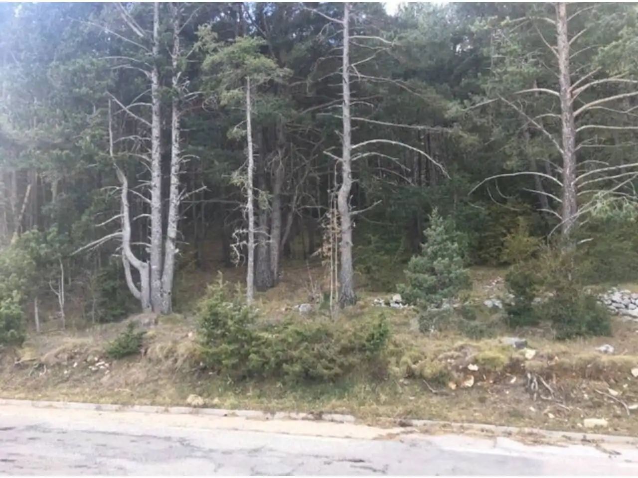 Terreny residencial en venda a La Coma i la Pedra, imagen 2