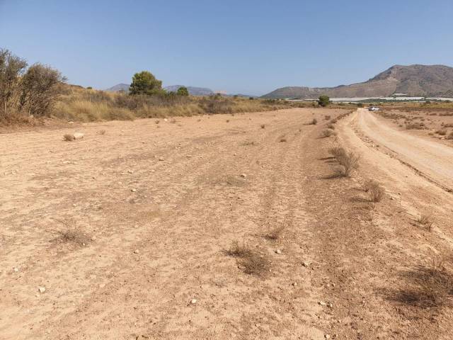 Finca rústica en Venta en Aledo