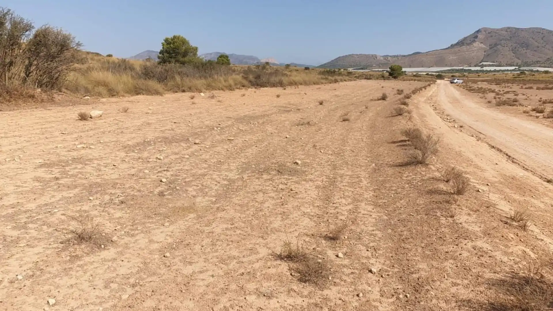 Finca rústica en venta en Aledo