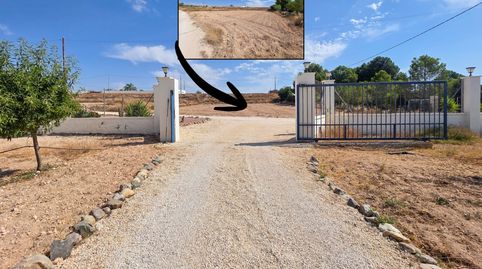 Foto 4 de Casa o chalet en venta en El Pinós / Pinoso, Alicante