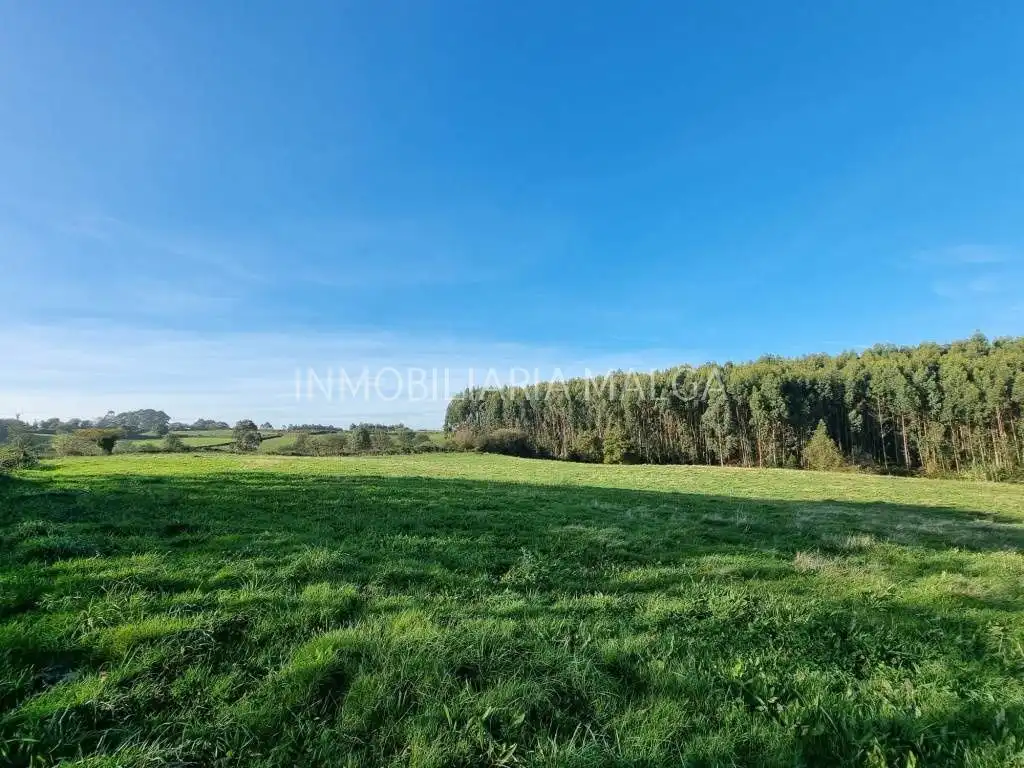 Residential for sale in Colunga