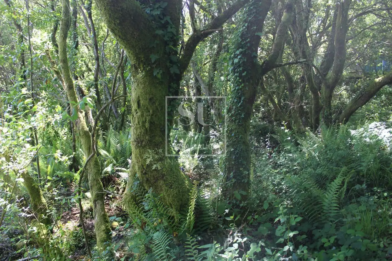 Xalet amb jardí en venda a Tomiño, imagen 7