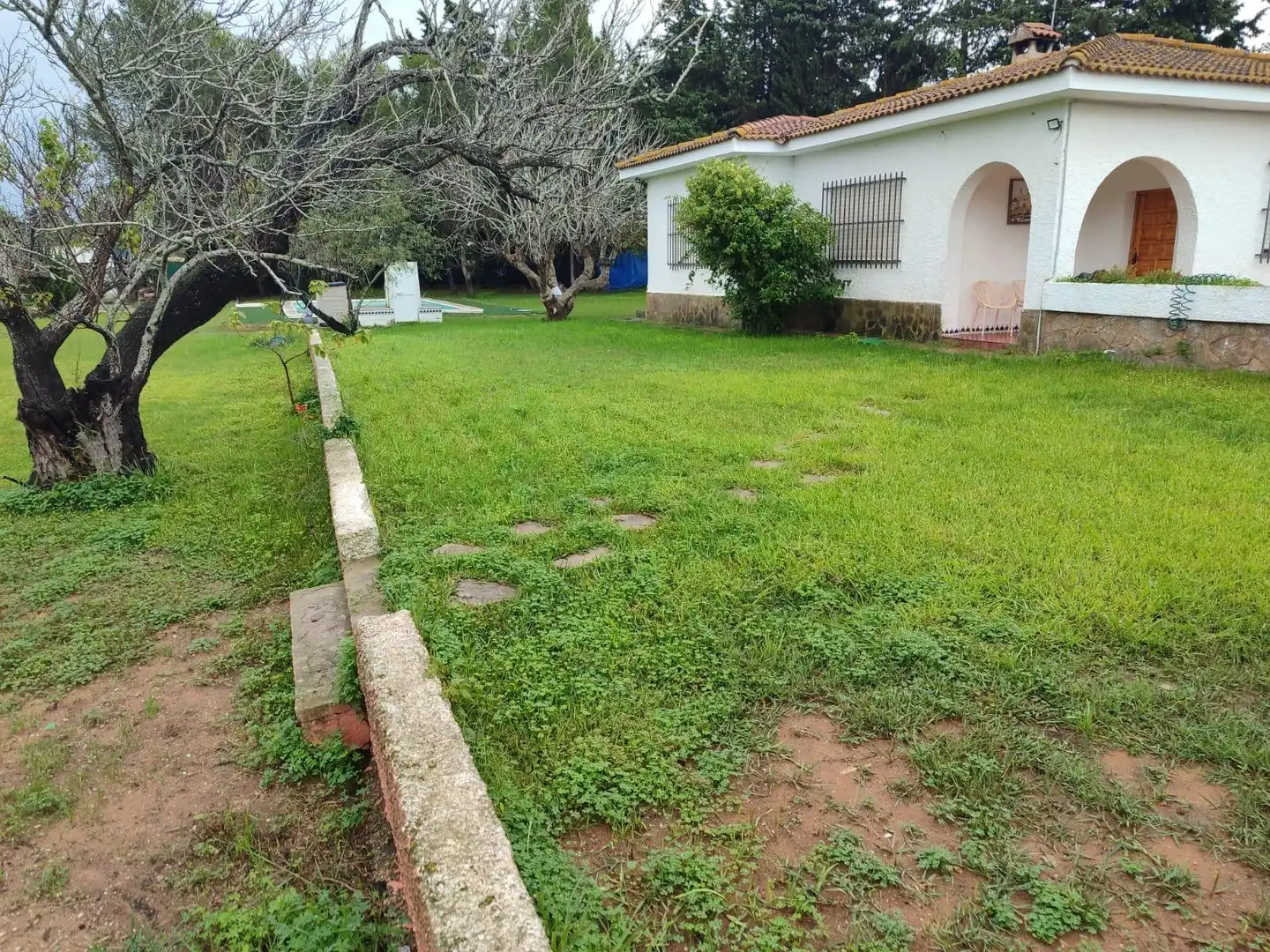 Jardí de Casa o xalet en venda en Chiclana de la Frontera amb Jardí privat i Piscina