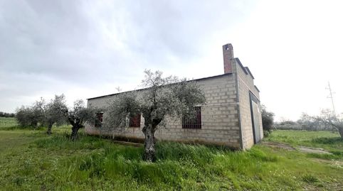 PARCELA CON NAVE EN COTO PERRERO DON BENITO, immagine 2