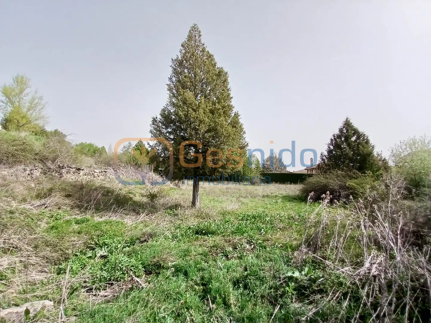 Terreny residencial en venda a Prádena, imagen 10