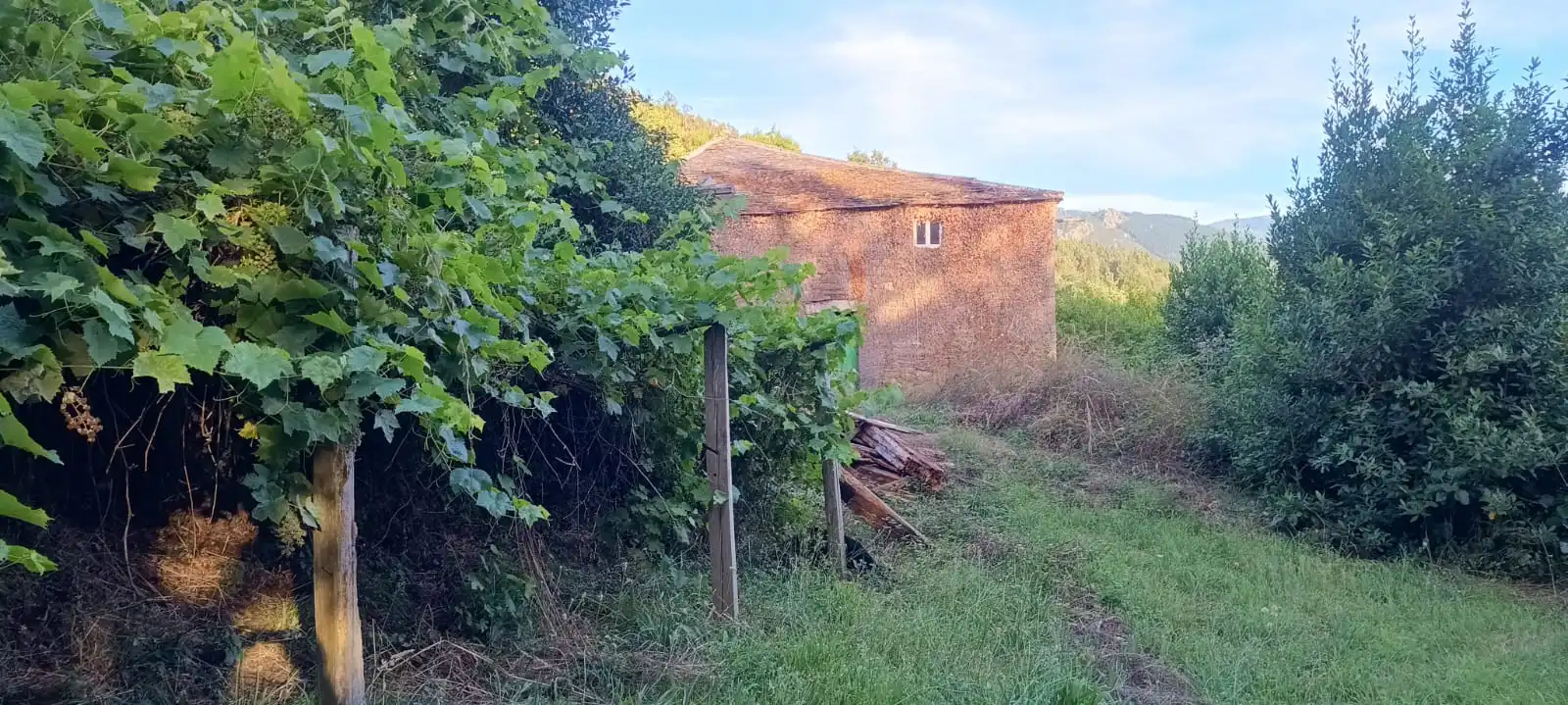 Maison à vendre à LU-P-5401 7D, imagen 2