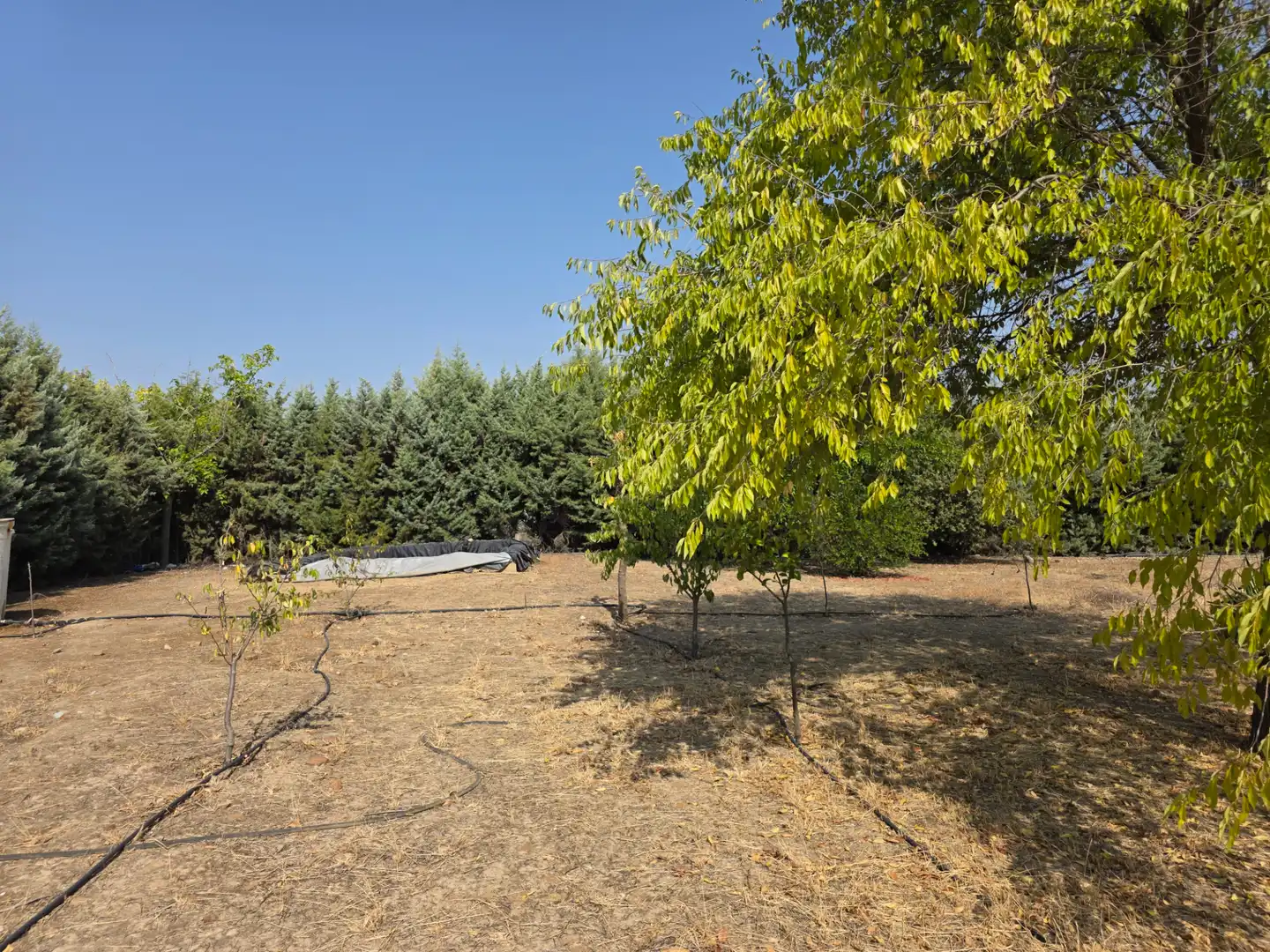 Chalet con jardín en venta en Villanueva de la Serena, imagen 27