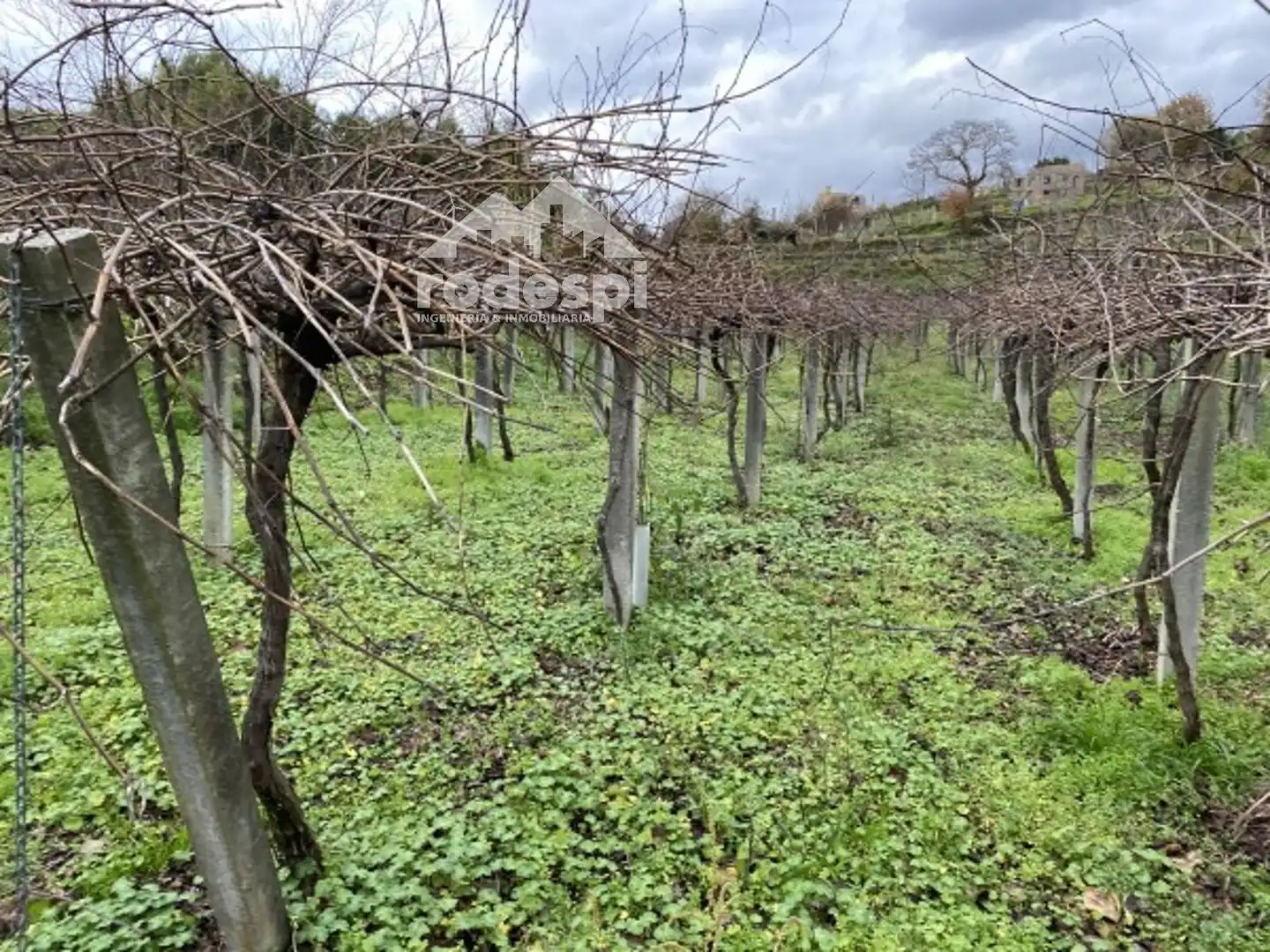 Terreny rústic en venda a A Cañiza, imagen 10
