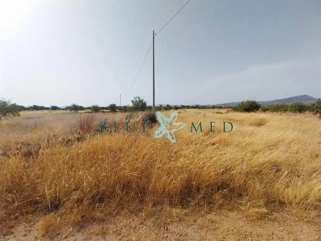 Casa o xalet en venda en Fuente Álamo de Murcia