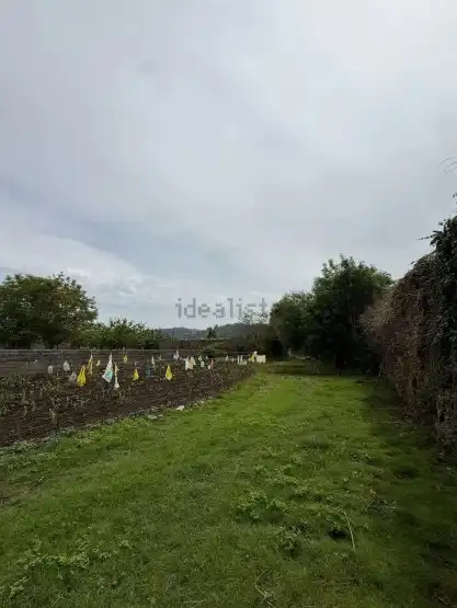 Haus oder Chalet zum Verkauf in Solórzano mit Privatgarten